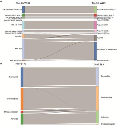 The latest edition of WHO and ELN guidance and a new risk model for Chinese acute myeloid leukemia patients